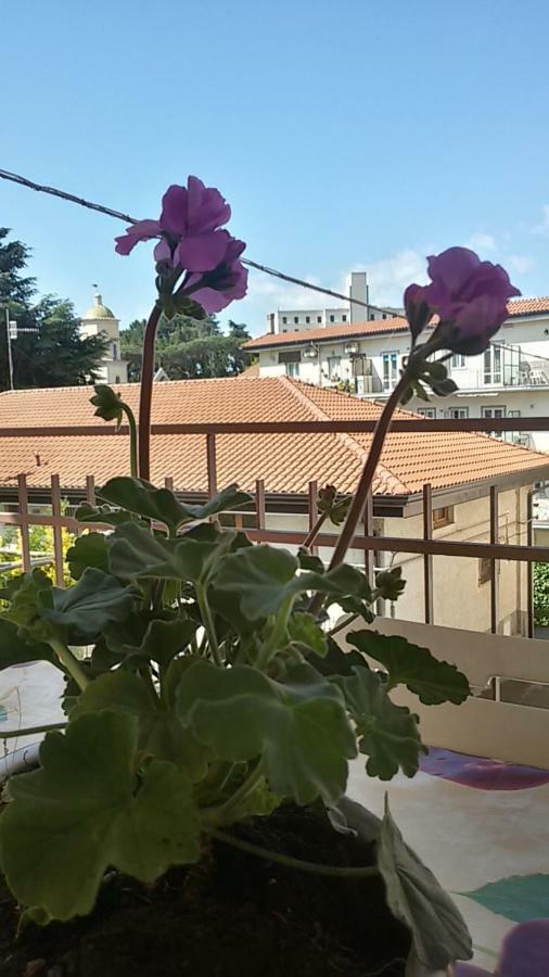 Casa Vacanza Xenia Agerola Bagian luar foto