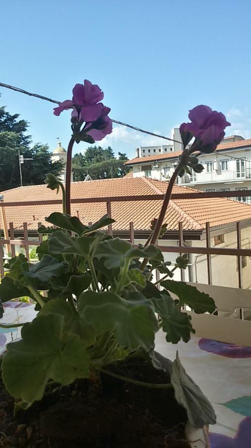Casa Vacanza Xenia Agerola Bagian luar foto